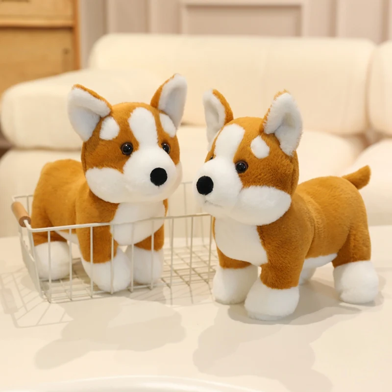 25cm mignon Corgi en peluche jouet dessin animé doux en peluche chiot jouets poupées filles garçons compagnon de couchage voiture Homedecor Plusie jouets