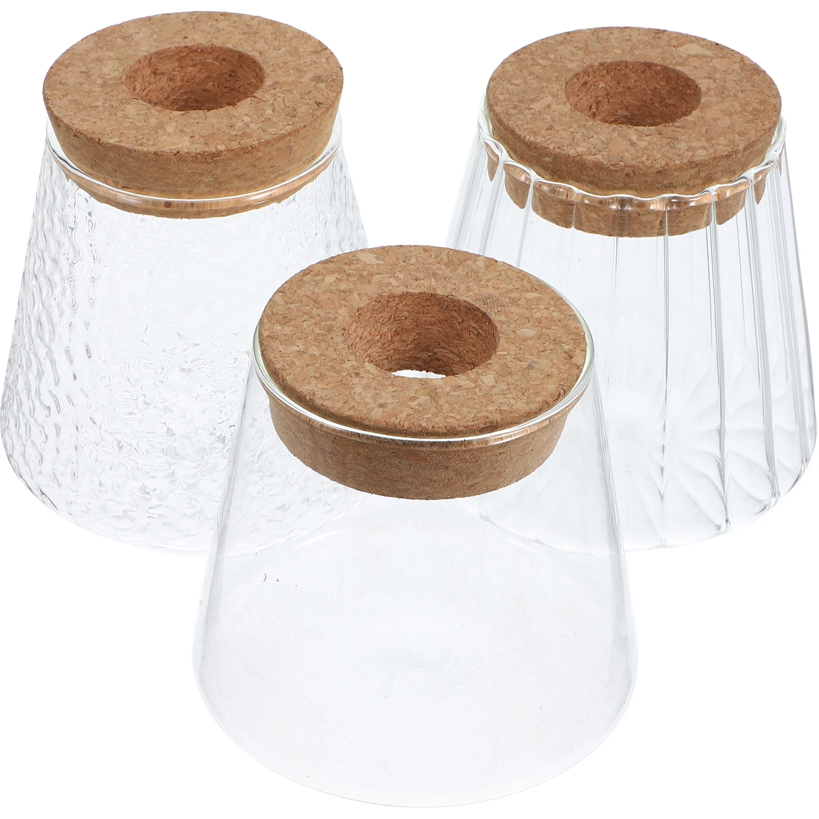 

3 Pcs Hydroponic Plant Bottle Transparent Flower Vase Office Desktop Propagation Station Terrarium Glass Container Planter