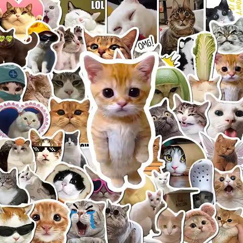 50Pcs Creative Network Popular Funny Cat Meme Decals For Phone Laptop Suitcase Notebook Waterproof Stickers