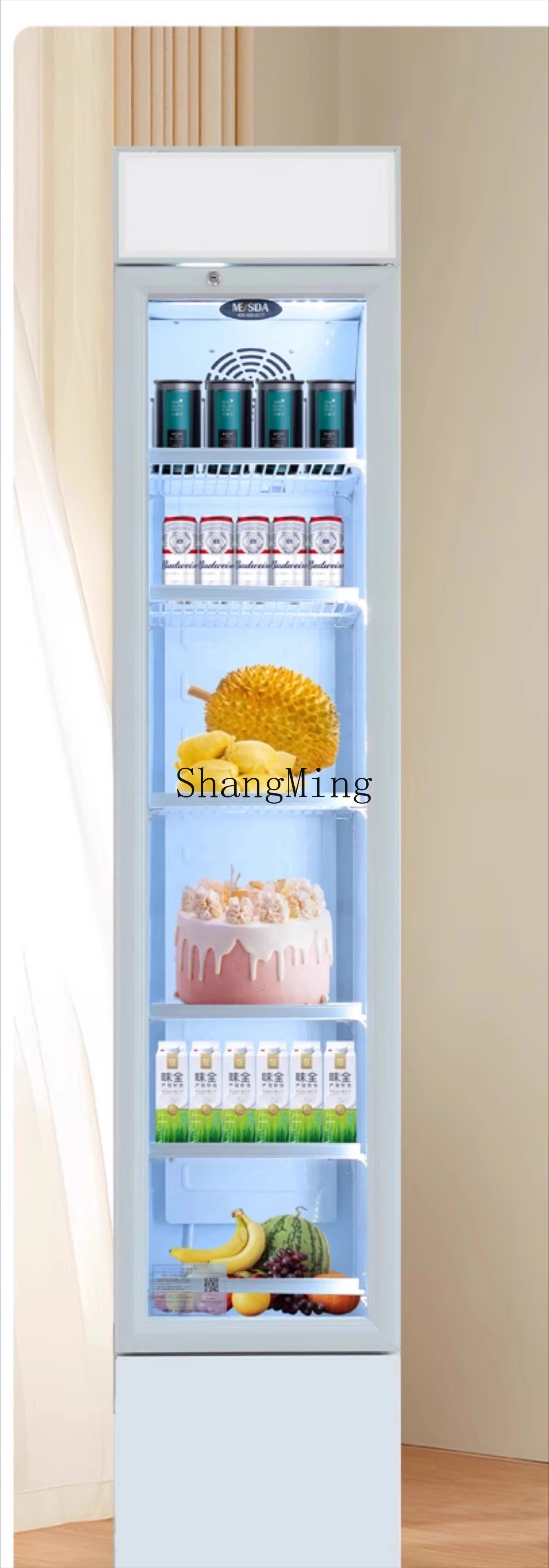 ZYY piccoli snack per la casa, bevande da tè con serratura, frigorifero per la conservazione della freschezza del soggiorno