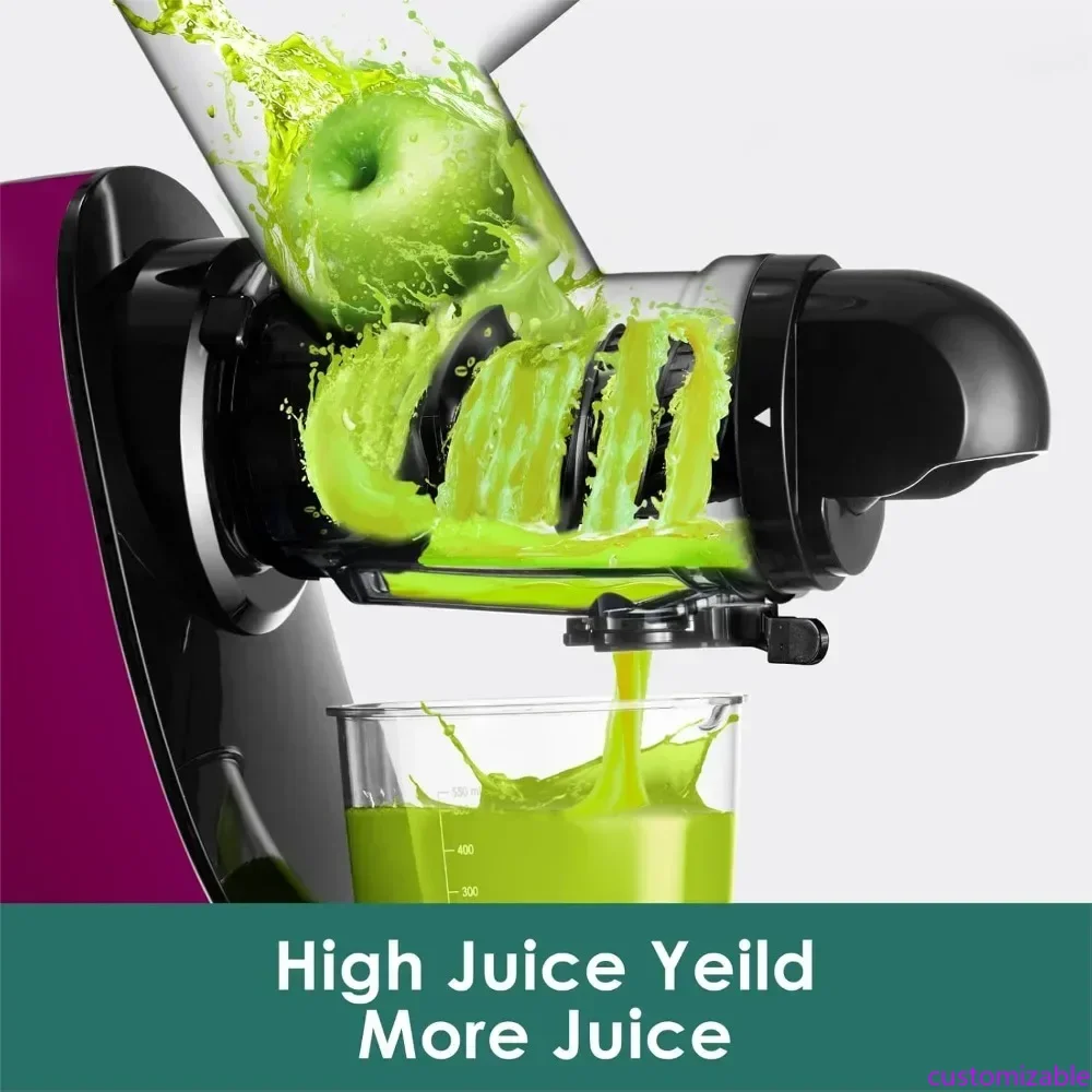 

Cold Press Juicer, Masticating Slow Juicer, High Juice Yield Juicer Machines for Fruit & Vegetable, Nutrient and Vitamin Dense,B