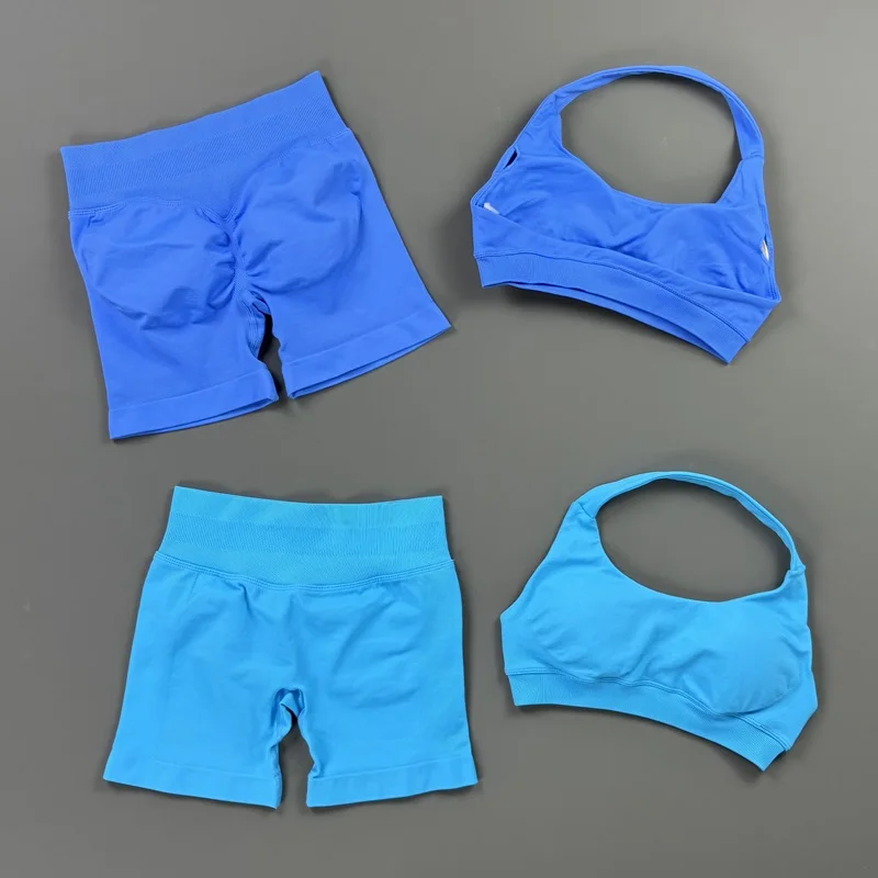 2 Pieces Gym Set Women Halter Neck Sports Bra Tummy Control Ribbed Shorts Seamless Yoga Suit Running Workout Fitness Sets