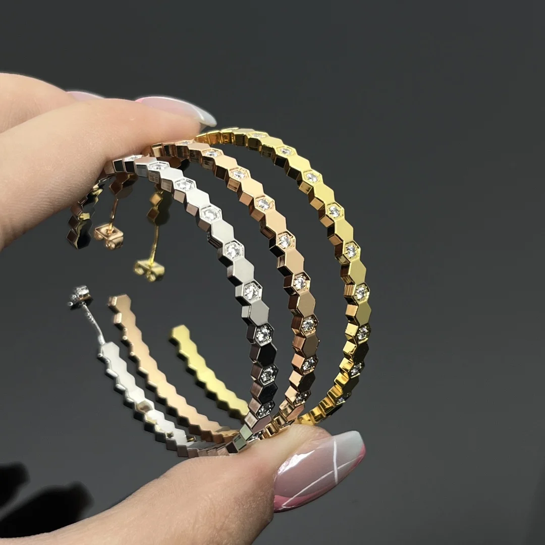 

2025 Exclusive 925 Silver Classic Trendy High End Versatile Earrings for Women Limited Edition with Exquisite Details​