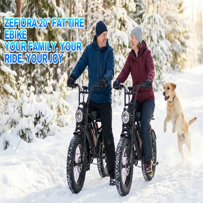 Two Wheels Electric Bike,2000w 20 Inche 30-50mph 30-60miles,ebike Electric Dirt Bike 48v Battery,for Two Wheels Electric Bicycle