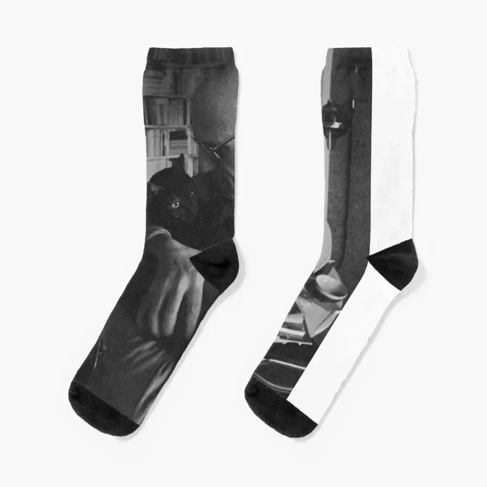 

Foucault and a cat Socks colored gift loose anti-slip Socks Man Women's