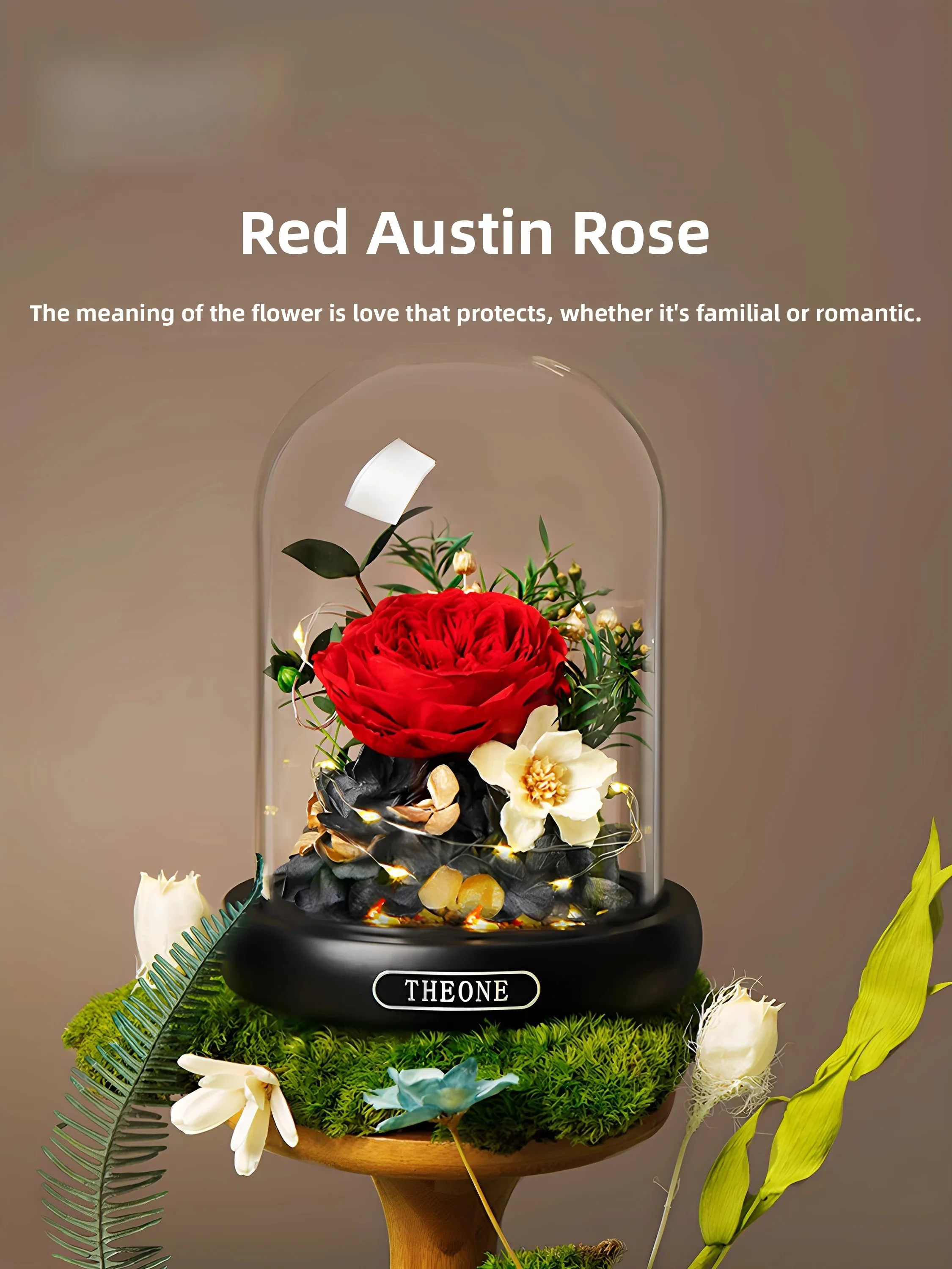 regalo-di-san-valentino-fiore-eterno-in-cupola-di-vetro-confezione-regalo-per-compleanno-regalo-per-fidanzata-migliore-amica-presente-per-il-festival-qixi