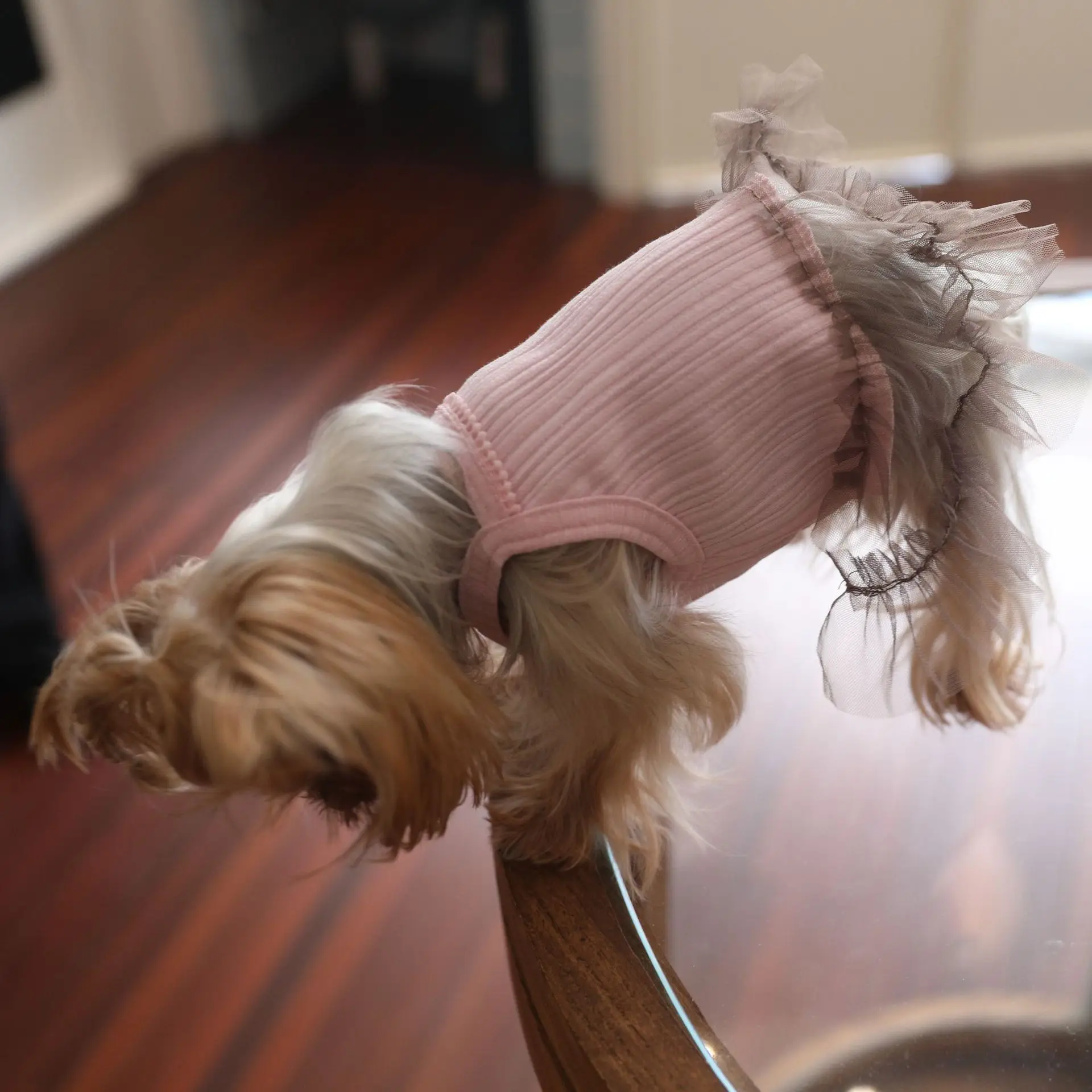 Chaleco de malla rosa para gatos y perros – Falda y ropa Yorkshire