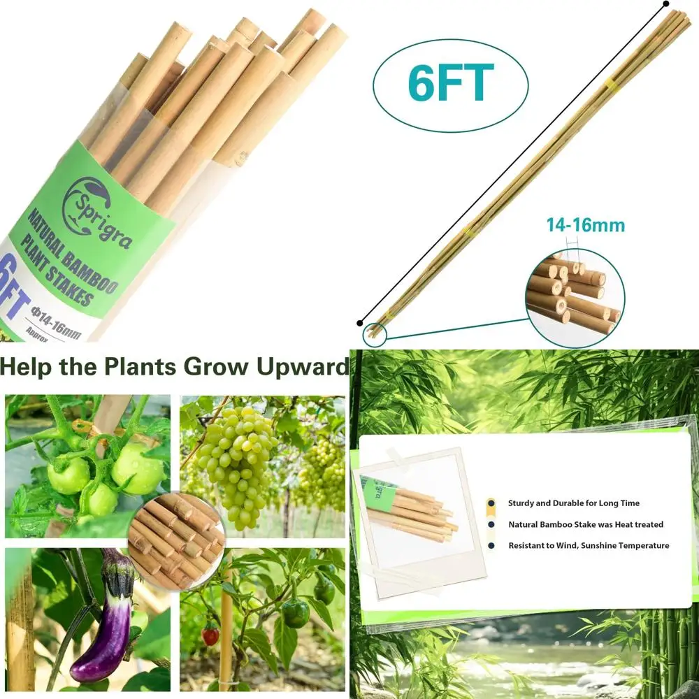 

6 Feet Bamboo Plant Stakes - Multipurpose Garden Support for Tomatoes, Beans, Cucumbers, Peppers, Potted Plants