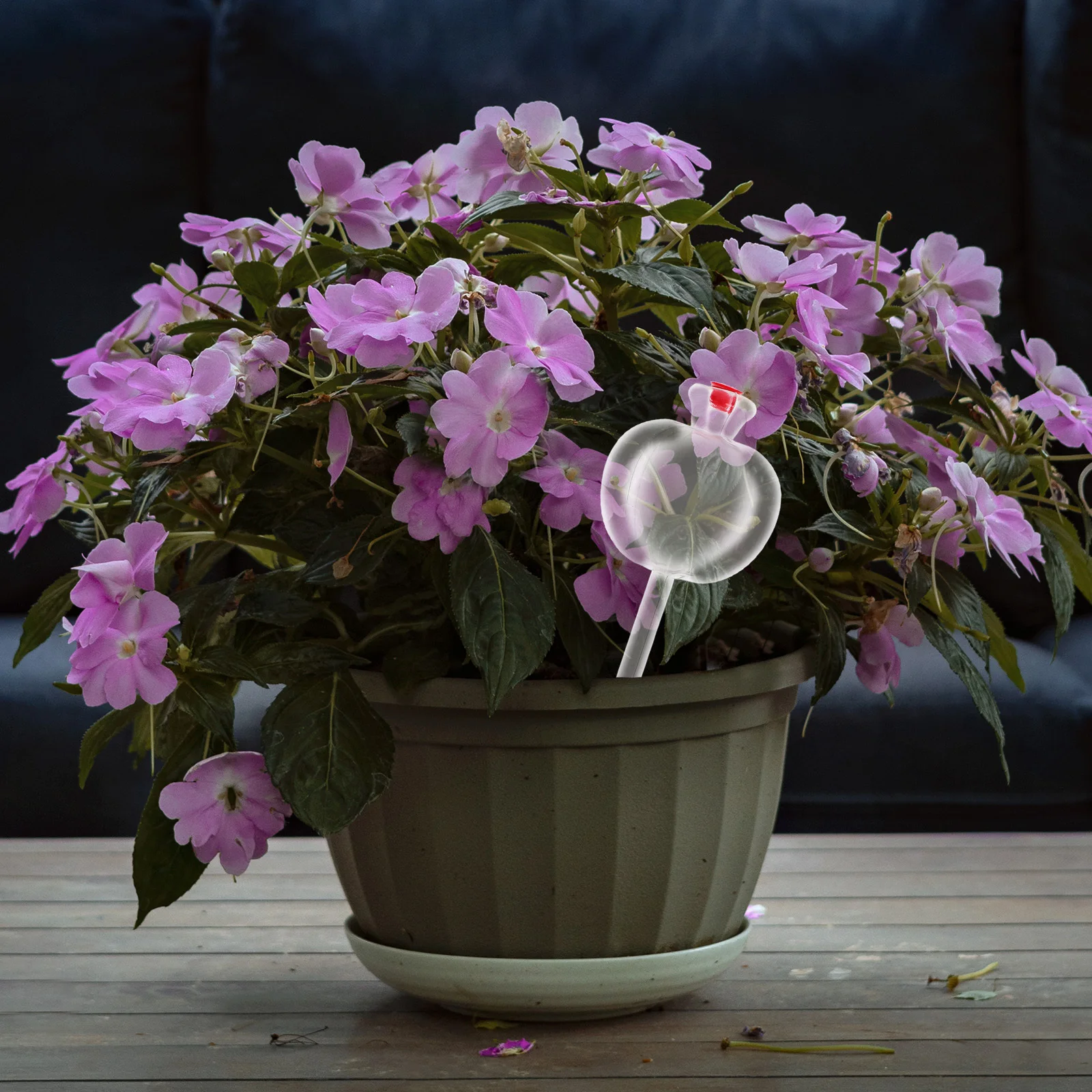 

5Pcs Automatic Plant System Self Spikes Device for Indoor Outdoor Plants Garden Tool Efficient Drip Irrigation