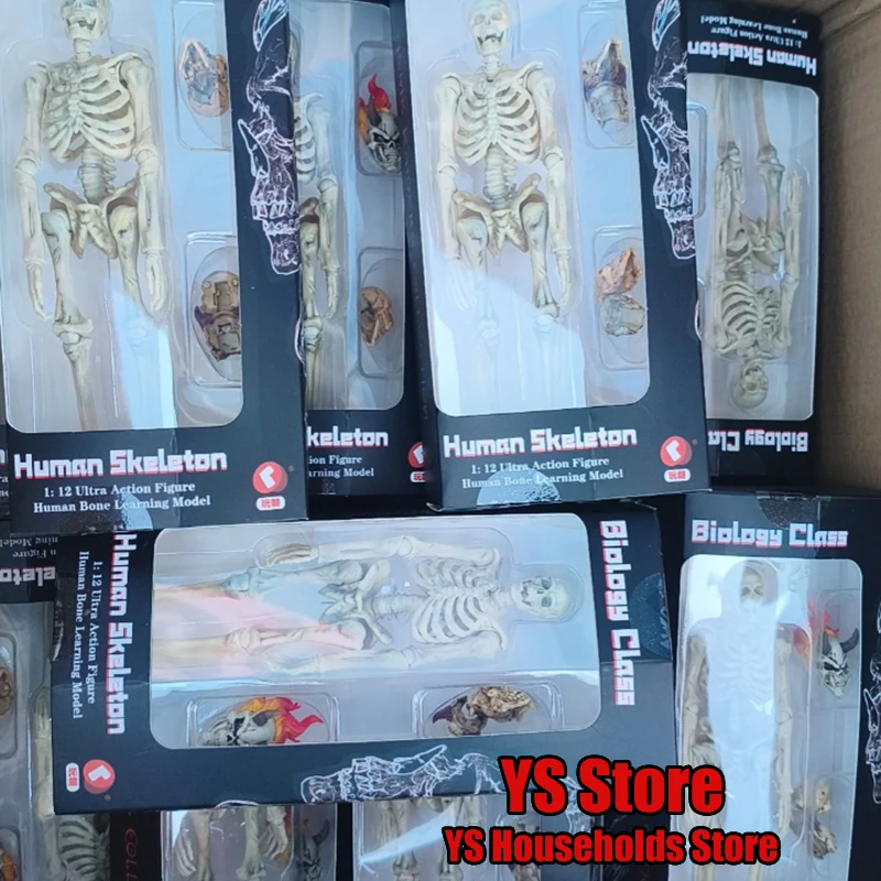 en-stock-–-modele-de-squelette-articule-humain-a-l'echelle-1-12-accessoire-de-jouet-mobile-pour-ballet-interne-ornement-de-soldat-de-17-cm