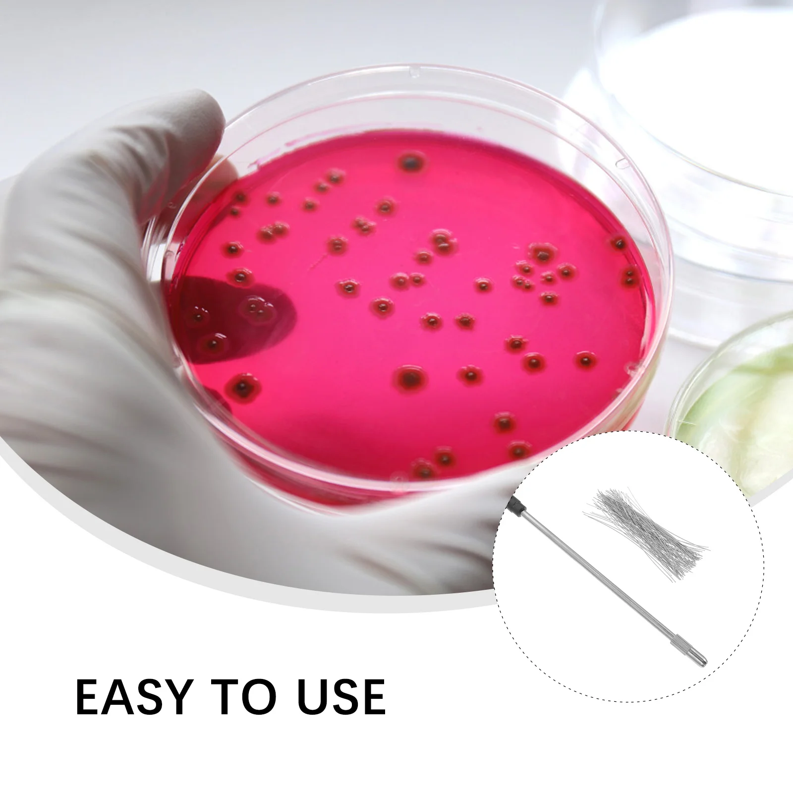 

1 set 1 Set Stainless Steel Inoculating Loop Rod For Experiment Tool Microbiology Inoculation Wire Device Parts