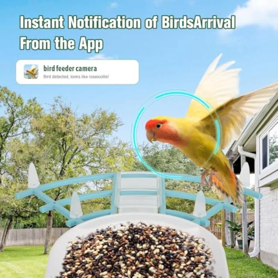 description