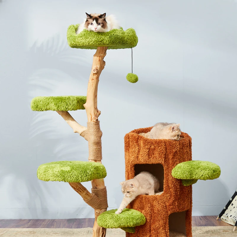 

Solid wood cat climbing frame, cat nest, cat tree one, does not occupy a sisal cat, jumping cat, toy tree hole series