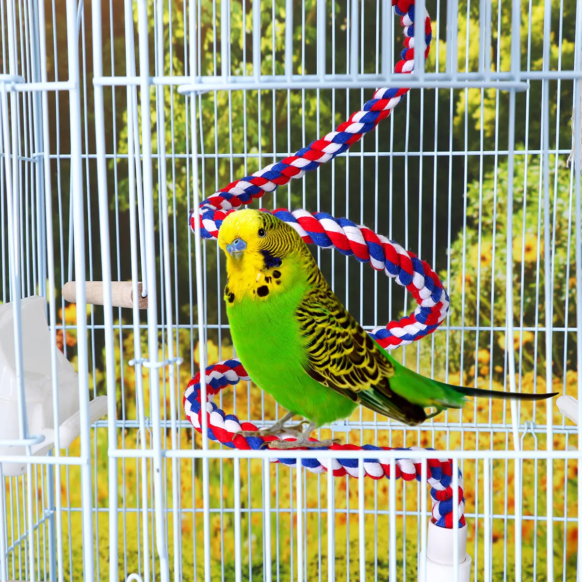 Colorful Cotton Rope Swing Perch Bird Climbing Rope Eco Friendly Training Chew Parrot Cockatiel Balance Coordination