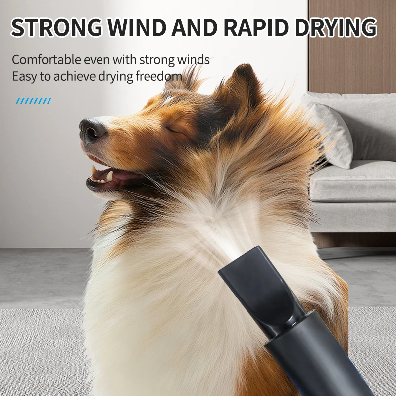 2000W Pet Grooming Dryer Adjustable Speed Temperature Control Dog Blow Dryer Quick drying high power Pet Cat Dog Bath Hair Dryer
