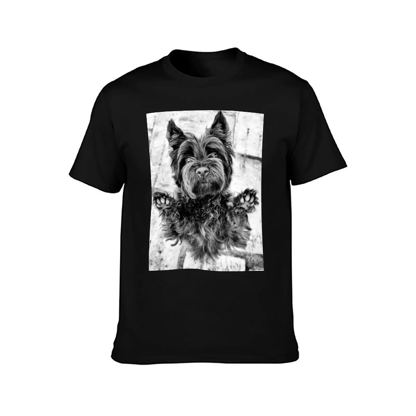 Dog cairn terrier love T-Shirt Large Size Breathable Tee T-Shirt