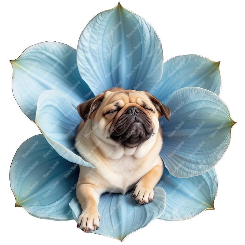 Three Ratels puppy in  blue magnolia flower lovely animal wall stickers for home decoration