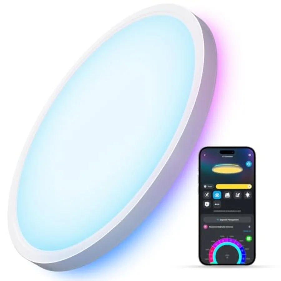 Smart Ceiling Light, RGBIC LED Ceiling Light Fixture, 2400LM Flush Mount Light Fixture, DIY Colors, Works with Matter Alexa, 27