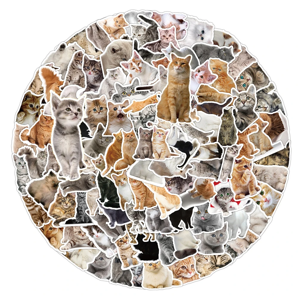 10/30/50/100 قطعة Kawaii القط الكرتون ملصقات مضحك لطيف الحيوان هريرة ملصق DIY بها بنفسك سكرابوكينغ المحمول الدراجة الكتابة على الجدران الشارات اللعب