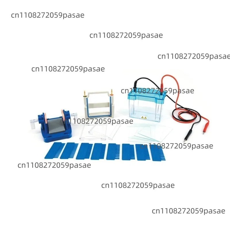 DYCZ-24DN protein vertical electrophoresis cell DYCZ-40D transfer cell gel protein double plate