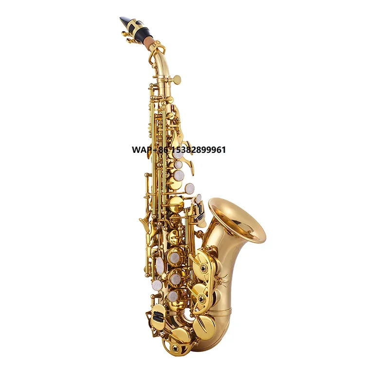 

Premium Saxophone with BB Tone Lacquer Finish for Musicians and Students