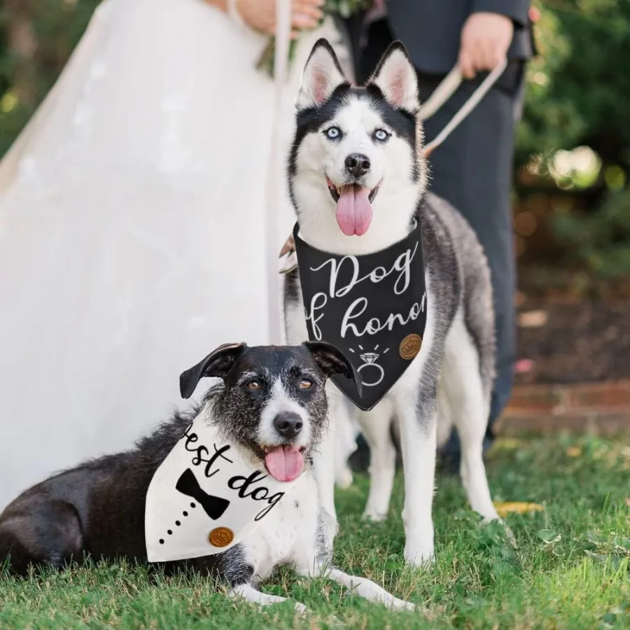 أفضل عصابات الزفاف للكلاب قابلة للعكس مكونة من قطعتين من كلب الشرف والخطوبة قابلة للتعديل للكلاب المتوسطة والكبيرة والكبيرة والغاية باللون الأسود