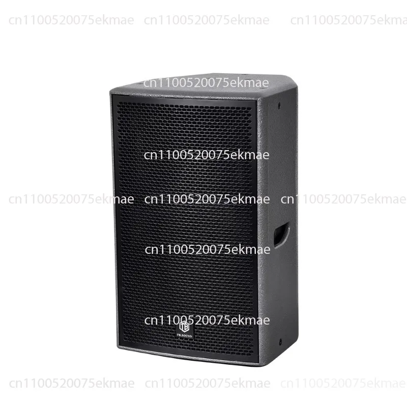 Professional 15-inch Class 2 KTV speaker full frequency division