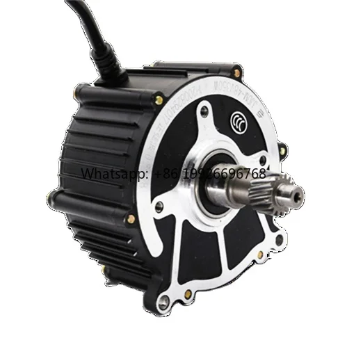 

350W 48V Electric Vehicle Motor Kit Differential Gear Permanent Magnet Brushless DC Motor