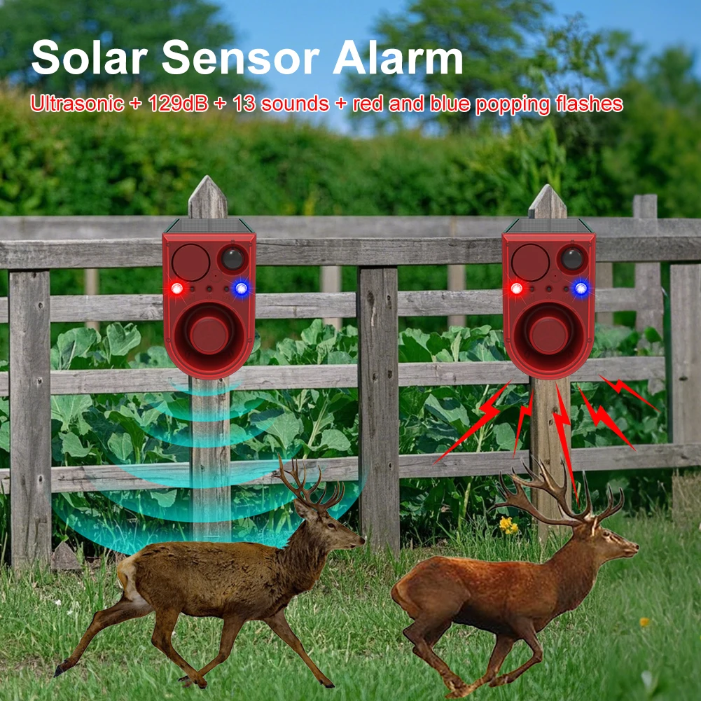 Solar-Bewegungssensor-Alarm Wa – Home Security Yard Sensors Bewertung und Preis
