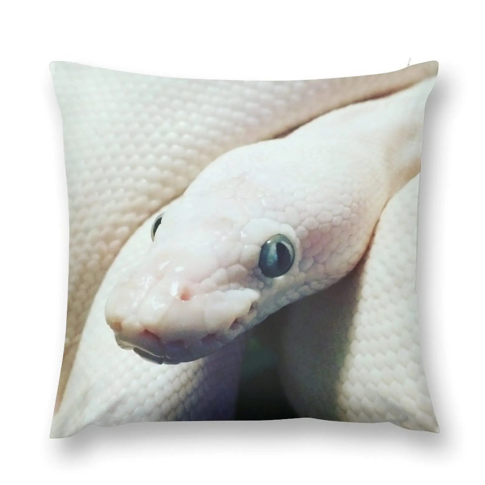 BEL BALL PYTHON Throw Pillow Couch Cushions home decor items pillow