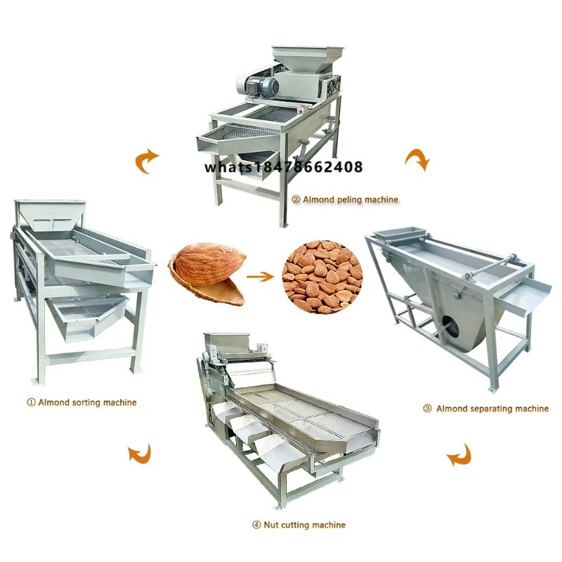 Factory Price Almond Hazelnut Shelling Peeling Machine Almond Hazelnut Crushing Breaking Machine Almond Cracking Machine