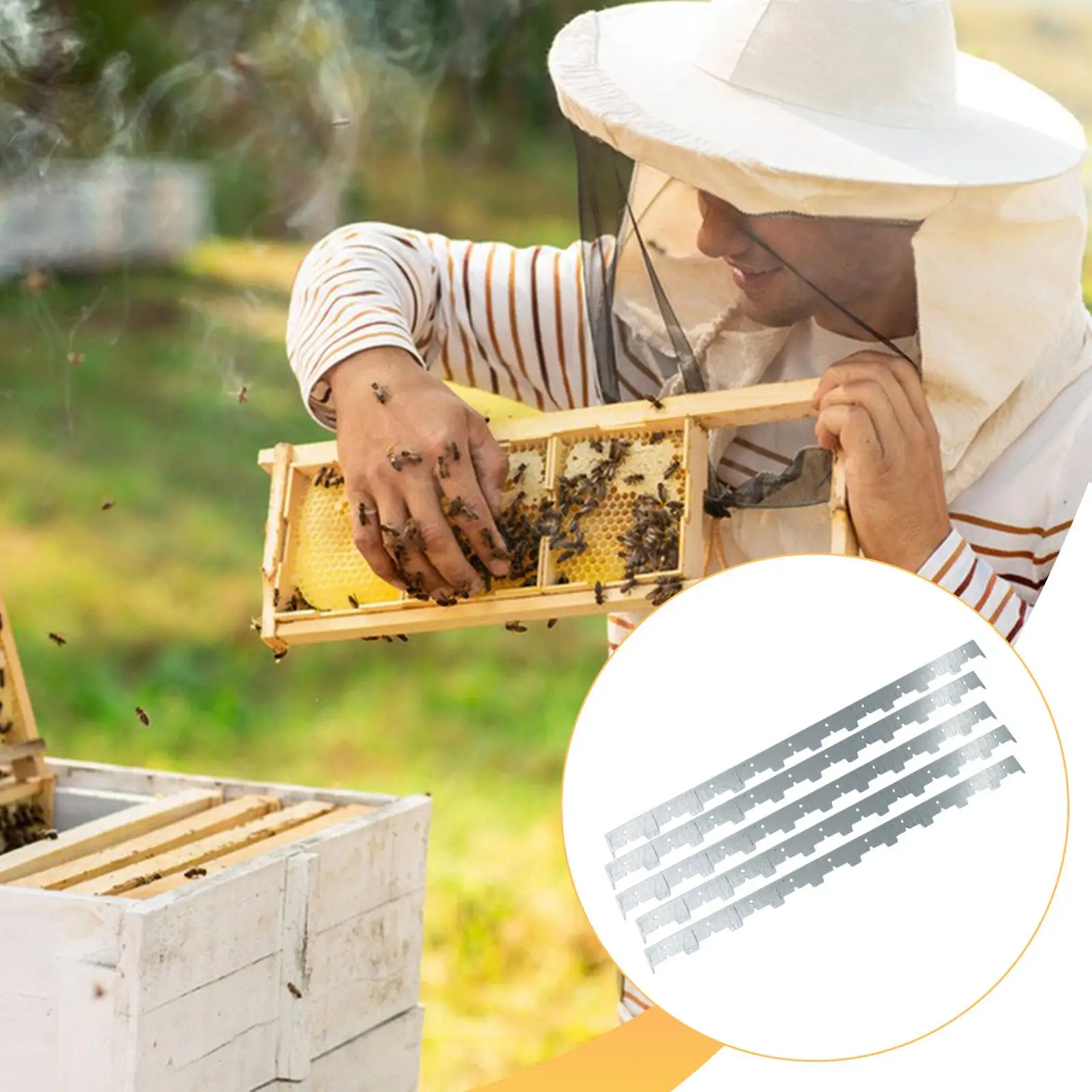 Essential Beehive Frame Spacers Stainless Steel Accessory Equipment for Modern Beekeeping and Honey Bees