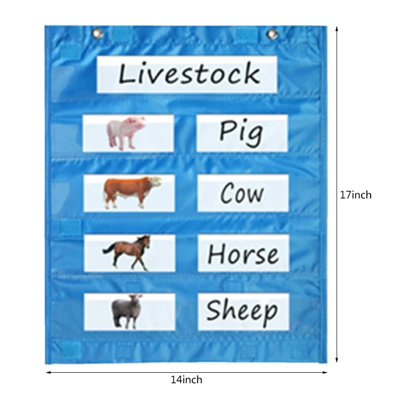 Magnetic Classroom Pocket Chart for Whiteboard, Pocket Chart for Daily Schedule, Activity, Class Demonstrations