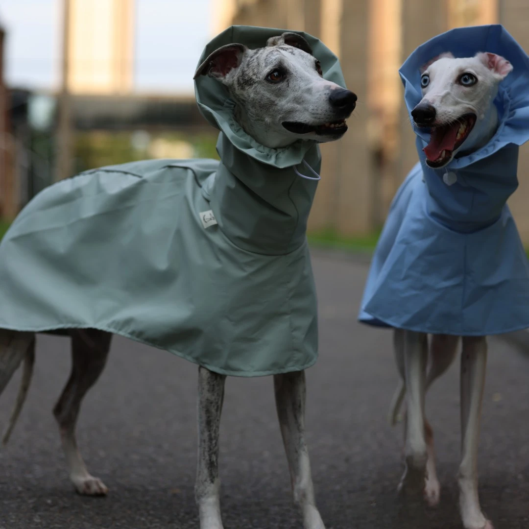 Einfarbiger Regenmantel für Italienische Windhunde und Whippets im Frühling und Sommer, Leichte, Taillenverstellbare, Winddichte Jacke für Hunde – Detail 12