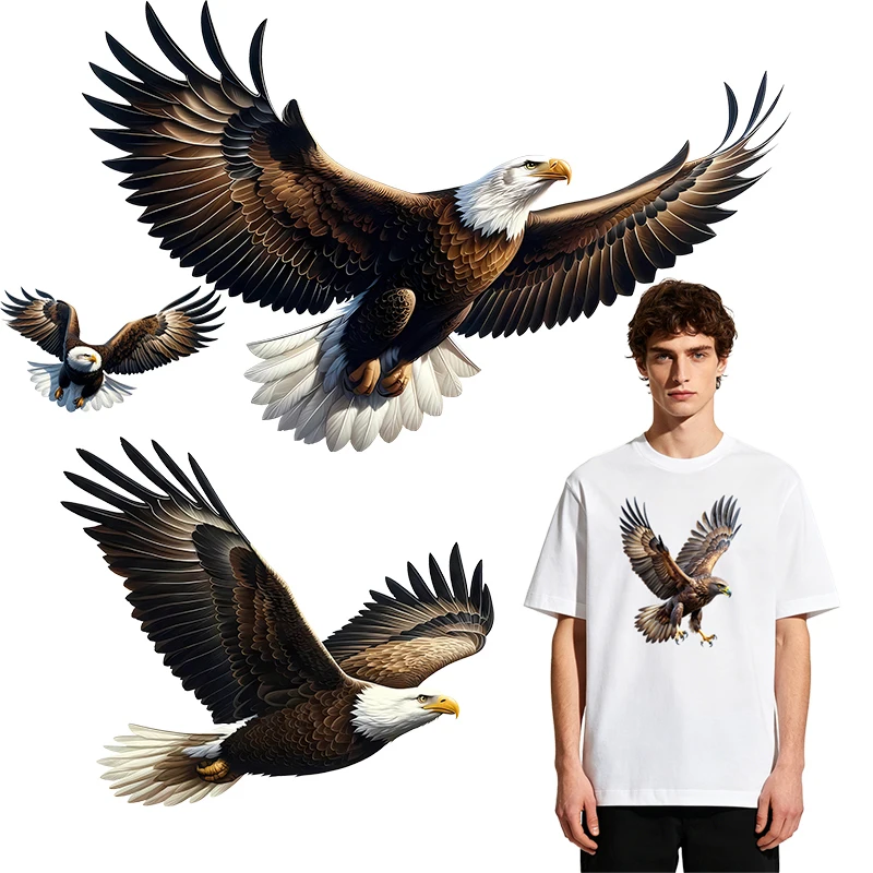 Eagle Spread Wings Flying Heat Transfer Vinyl Stickers Animal Iron On Patches For Men T Shirt Hoodie DIY Clothing Print Stickers