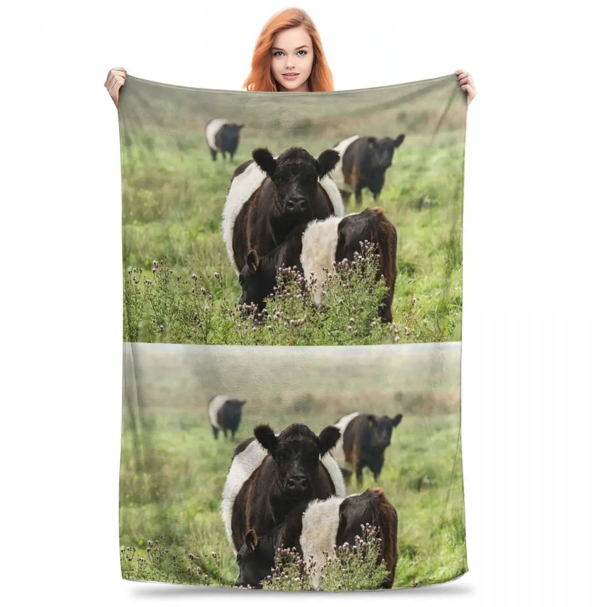 Belted Galloway Cows Blankets Fleece Portable Throw Blankets Sofa Throw Blanket For Couch Bedding Office Throws Bedspread Quilt