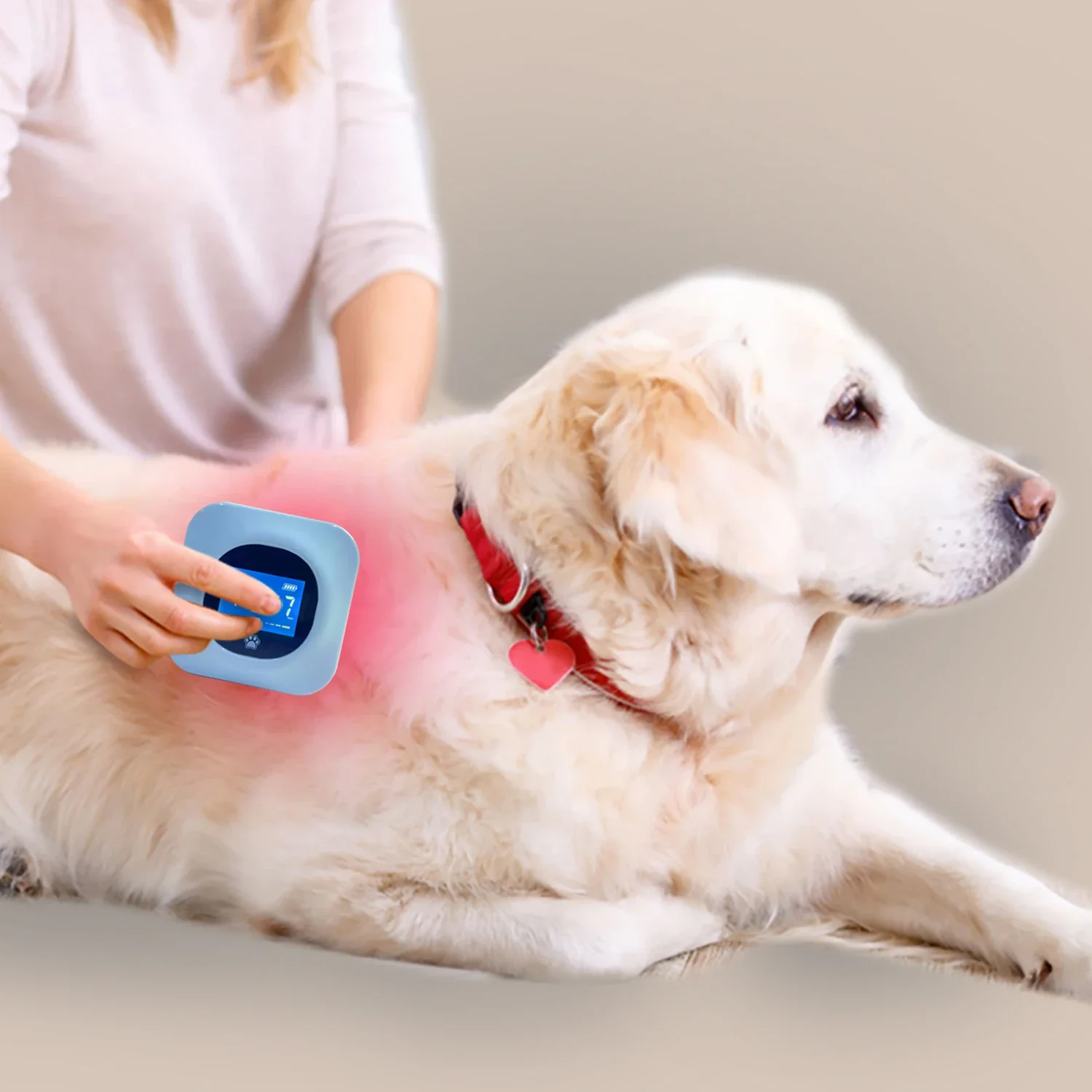 Latest technology for pain relief dog arthritis erchonia cold laser therapy device for pet