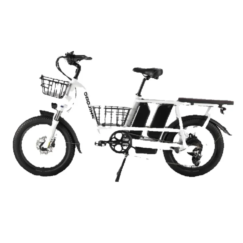 PHILODO Traveller Erwachsenen-Elektrofahrrad 48V35AH Doppelbatterie 20*3 Zoll Fette Reifen Elektrofahrrad Allterrain-Erwachsenen-E-Bike