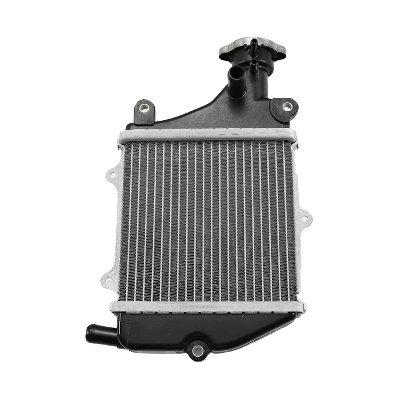 Scooter Water Tank Radiator Assembly Accessories Suitable for  San Yang FIDDLE125/150 Fit 3/4/5