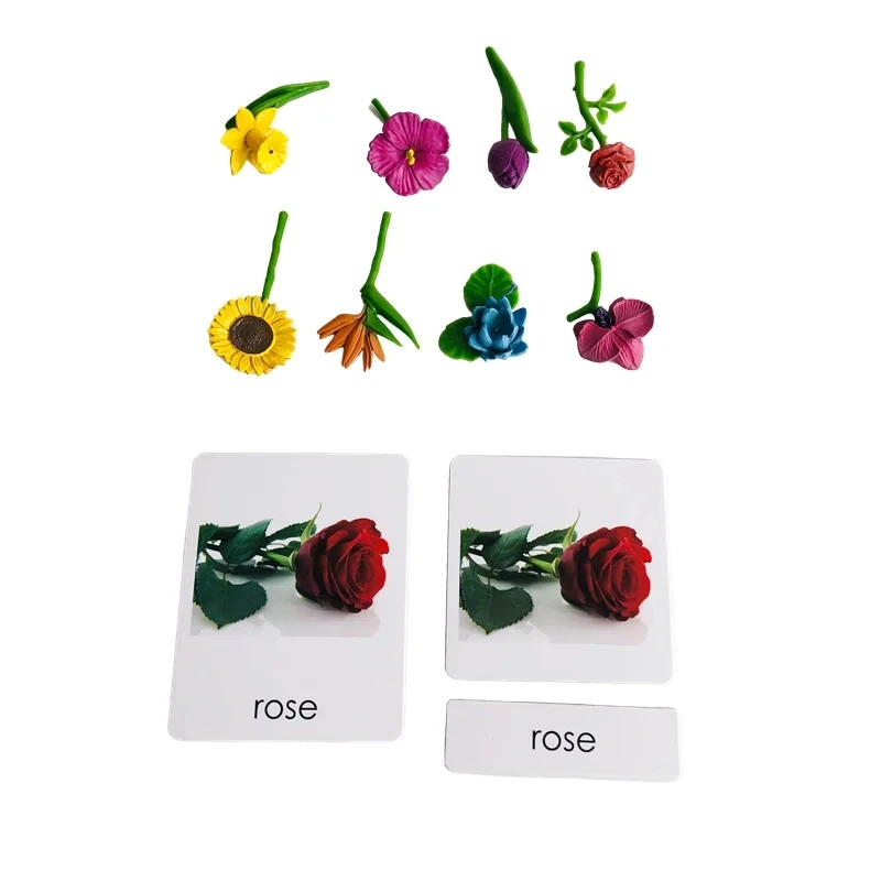 Cognition Cards of Flowers Montessori Language Materials Matching Game for Children Kids Early Learning Resources Education Toys - view 3