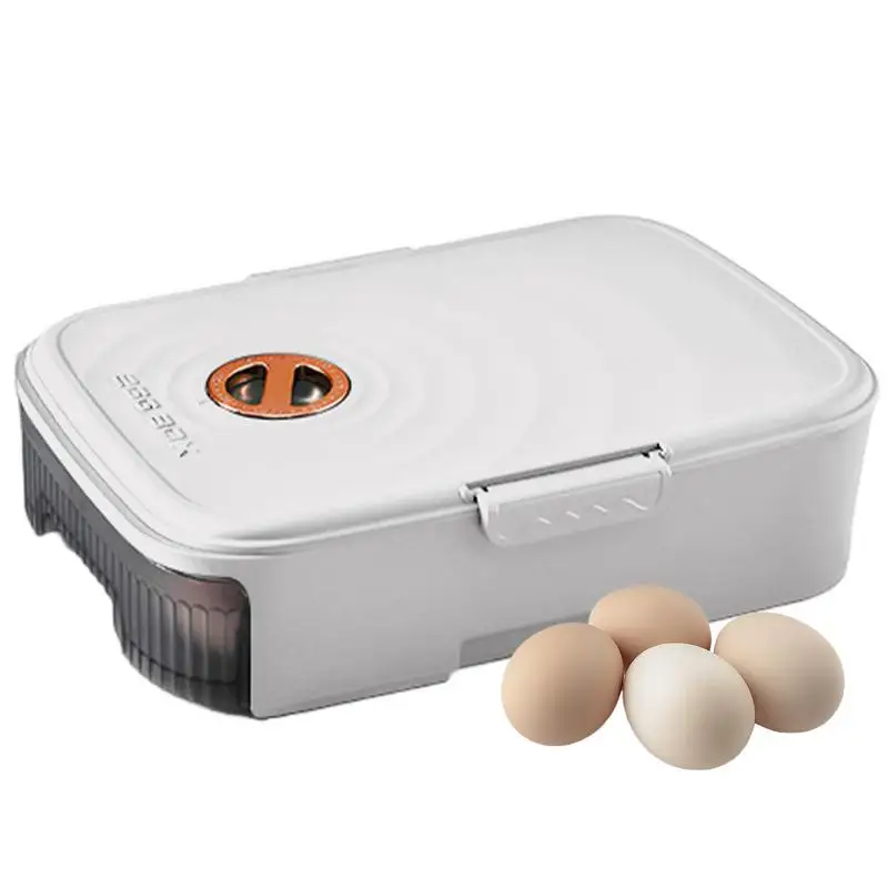 Egg Holder for Fridge Large Capacity Egg Storage Box Refrigerator Egg Trays Sturdy Egg Holder with Hollow Design Egg Dispenser