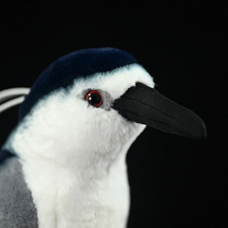 Nycticorax nycticorax juguetes de peluche lindos animales de noche coronados en negro simulación de muñecas suaves de la vida Real regalo realista para niños