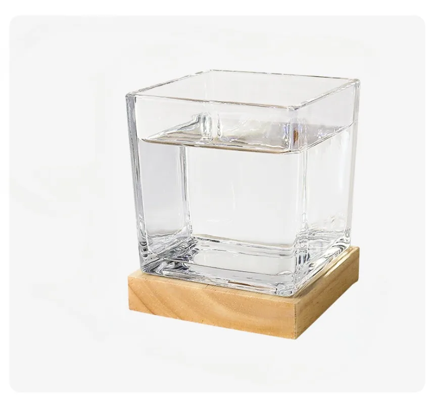 Creative Square Living Room Small Landscape Glass Tank with Light Base Balcony Small Fish Tank Ecological Goldfish Tank