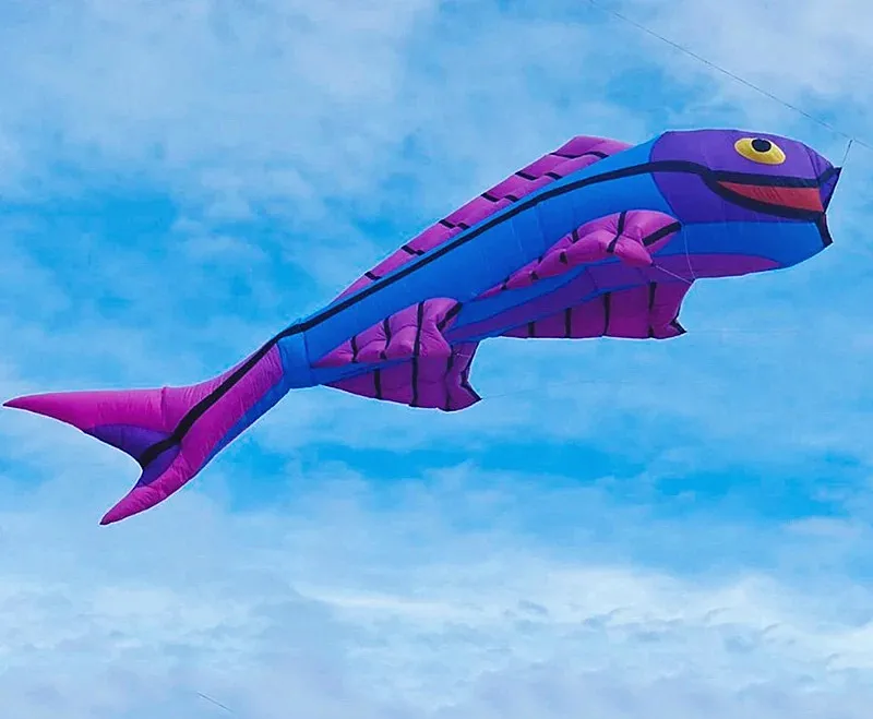 Kostenloser Versand 7m Fisch Drachen fliegen für Erwachsene automatische Drachen maschine Cometas Para Volar Deportes-y-Ocio Drachen profession ellen Spaß