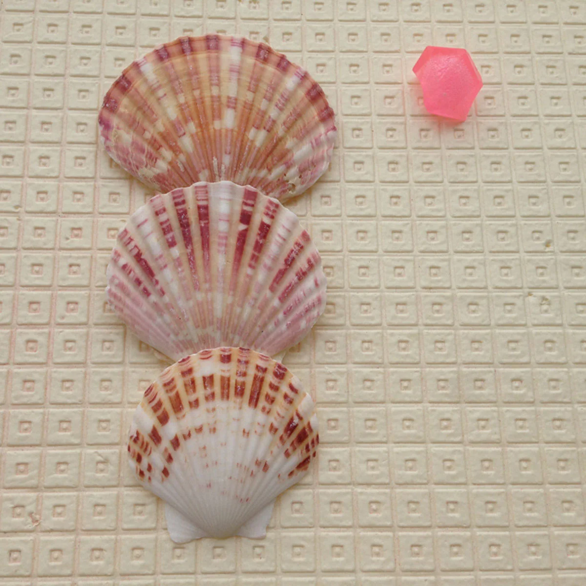 

50pcs Mediterranean Natural Sea Shell Craft Charms for Home Decoration Ornaments Intelligence Toy(4-8cm)