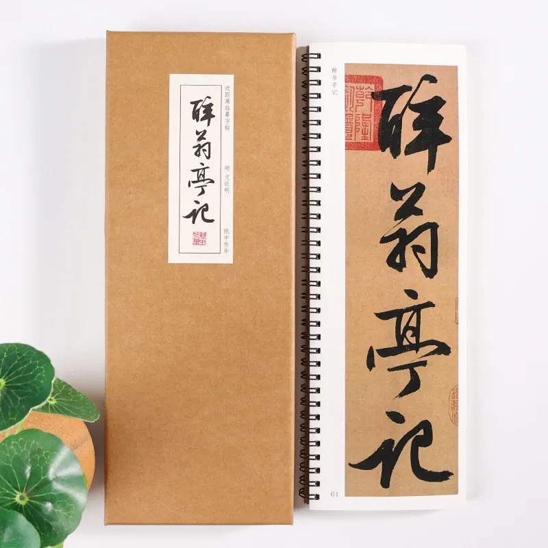 wen-zhengming-brush-calligraphy-copybook-traditional-running-script-brush-pen-chinese-character-calligraphy-tracing-writing-book