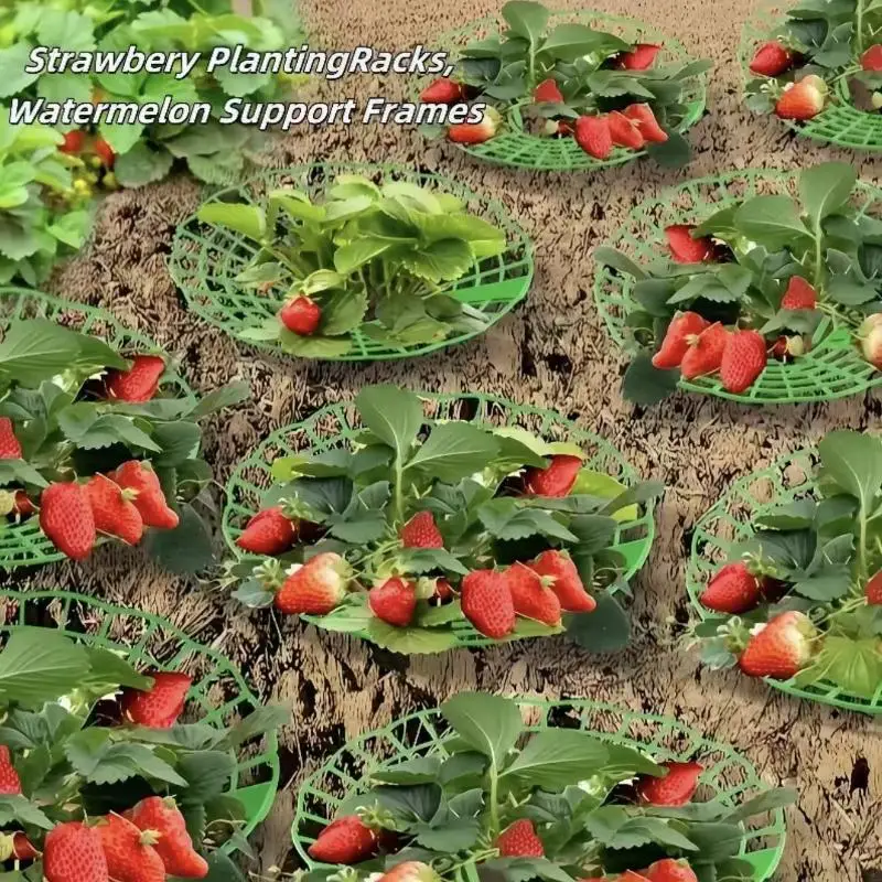 10Pcs 3-Pronged Fruit Plant Support Rack, Sturdy Weather-Resistant Ventilated Garden Rack for Strawberry Watermelon