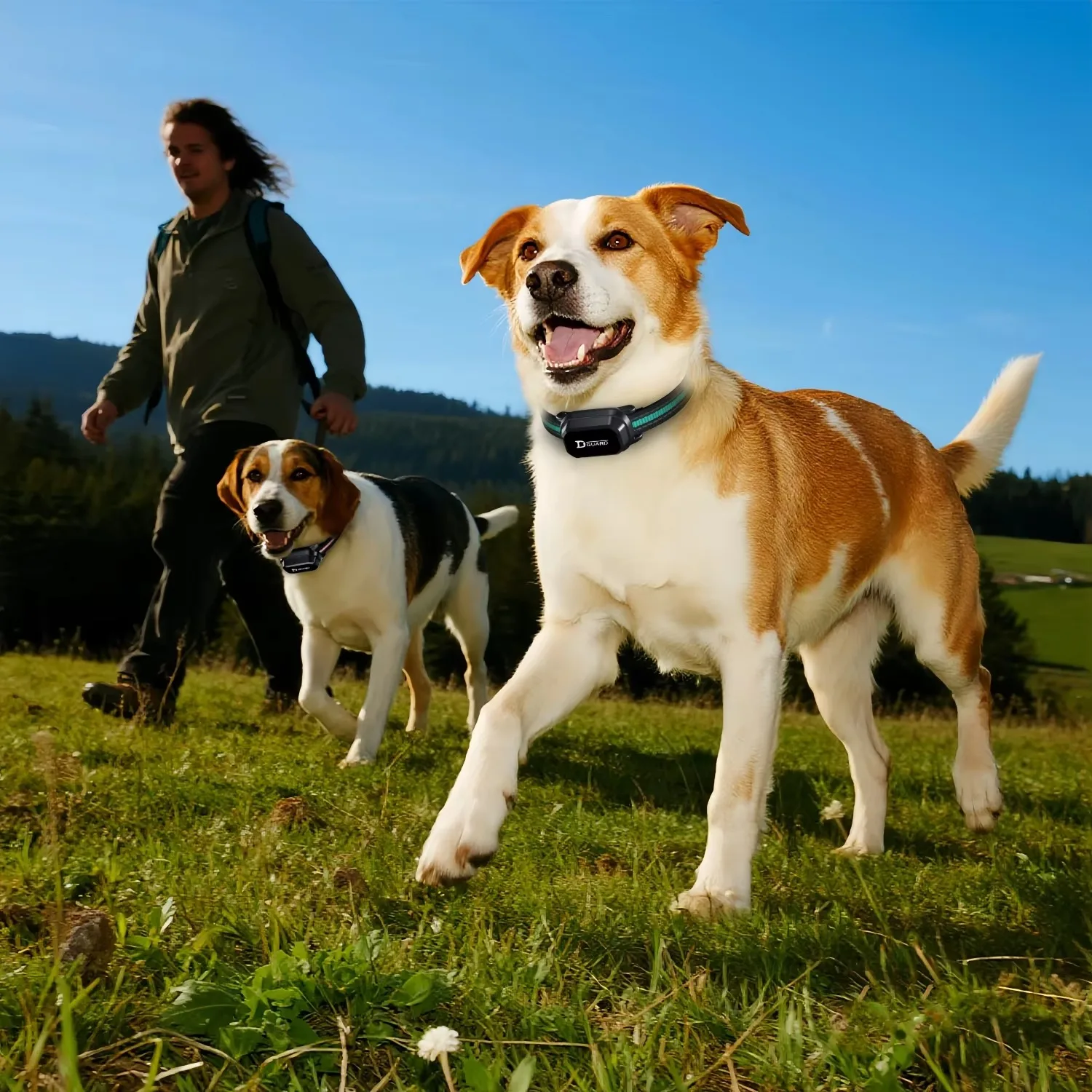 Electric Collar for 6-120LBS Dog Shock Dog Training Collar with Remote 3300ft Range,Vibrating Dog Collar Waterproof Rechargeable