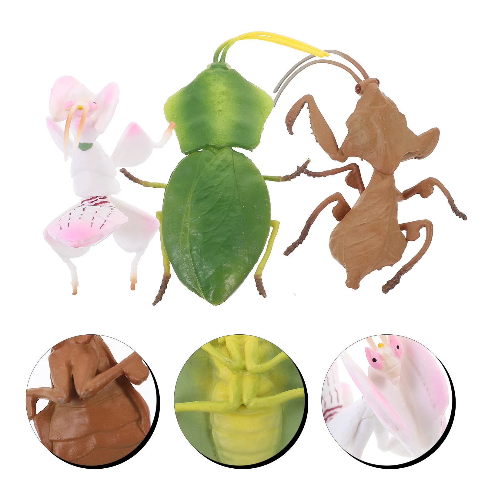 3-delig simulatie bidsprinkhaan model speelgoed kunstmatig kinderbeeldje meisje nep insect decor herkenning plastic