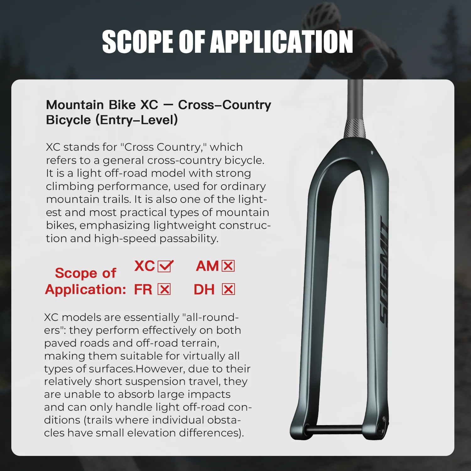 BOLANY 29inch Carbon Fiber Bike Fork MTB Bicycle Front Fork Lightweight Road Bike Component in Black/White